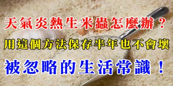 天氣炎熱生米蟲怎麼辦 用這個方法保存半年也不會壞 被忽略的生活常識