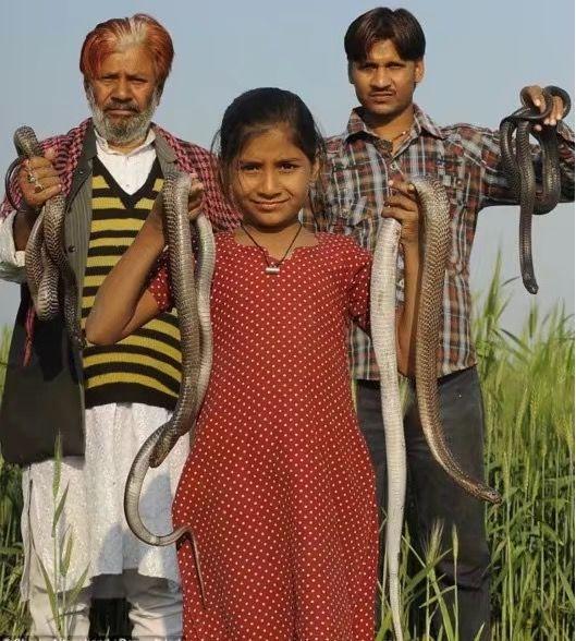 印度女孩出生當天嚇壞父母，群蛇來慶，被村民尊稱為蛇神