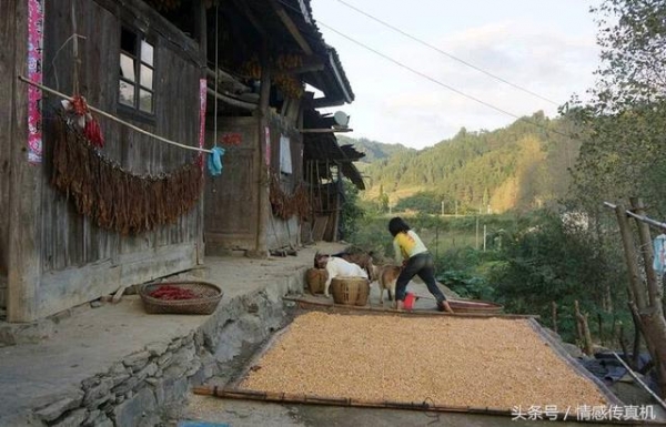 窮老太想喝雞湯，兩兒子無動於衷，小女兒連夜燉，次日驚喜來了