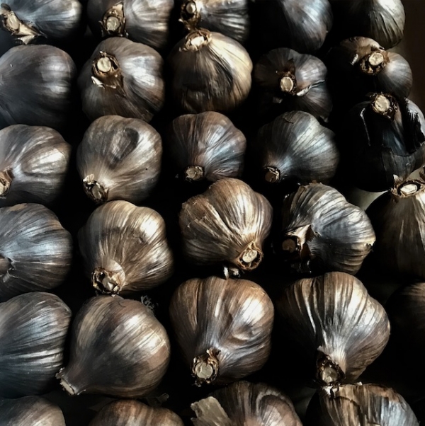 PRE-ORDER - Organic Black Garlic – Bear Creek Organic Farm