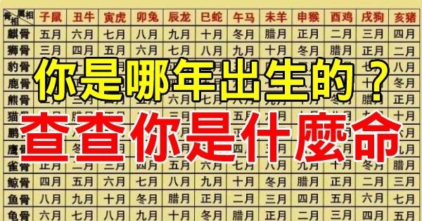 你是哪年出生的 查查你是什麼命 真的太準了