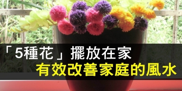 這5種花 擺放在家 能改善家庭的風水